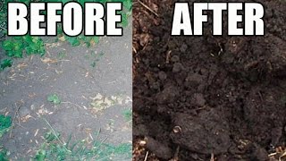 Amazing Garden Soil Transformation Using Wood Chips [upl. by Kloster291]