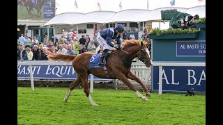 ECONOMICS leaves connections a quandary with clearcut 2024 Dante Stakes success [upl. by Lovmilla586]