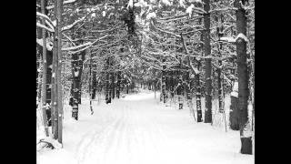 Eric Whitacre Robert Frost  Stopping by Woods on a Snowy Evening Sleep [upl. by Ahsienot]