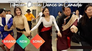 Tibetan Culture Toronto Lhakar Gorshey On Dec 6 2023 Circle Dance Gorshay Songs [upl. by Cliff101]