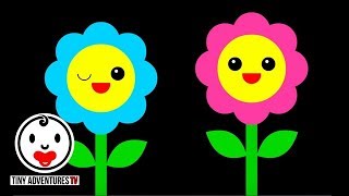 Baby Sensory  Dance Series  Flowers  High Contrast Color Animation fun video for baby [upl. by Nolan]