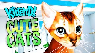 Cat Owner Simulator VR Cute Cats Everywhere  Kittend Gameplay HTC Vive [upl. by Ardnos912]