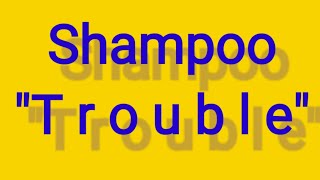 quotTroublequot Shampoo  Lyrics  HD [upl. by Chretien]