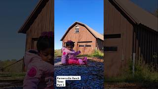 Farmersville Ranch Texas  Part 2  youtubeshorts trending youtubeshorts countryside viralvideo [upl. by Gromme]