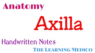 Axilla Anatomy Easy explanation in hindi [upl. by Artep]