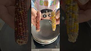 Make popcorn with a whole corn cobpopcorn asmr [upl. by Neellok]