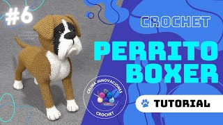 BOXER CROCHET perrito tutorial N°6 por Celina innovaciones crochet [upl. by Starinsky]