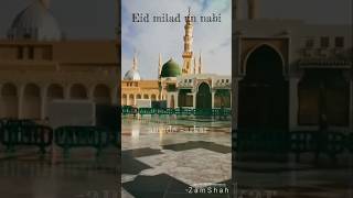 Meelad un nabi😍❤meeladshareef 12rabiulawalstatus rabiulawal ytshorts meelad [upl. by Sirtimed]