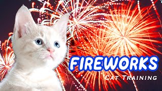 Firework Noises for Cats and Dogs Desensitization training [upl. by Kamilah]