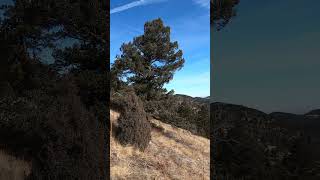 The Burro Trail at goldengatecanyonstatepark hiking colorado frontrange snow views [upl. by Hill]