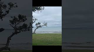 CORNWALLIS BEACH 🏖️ Quite amp beautifulAucklandNew Zealand [upl. by Dowling]