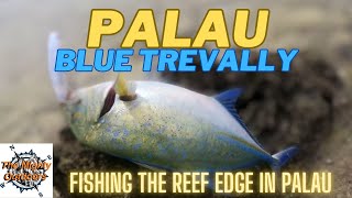 Palau Fishing  POV  blue trevally  first cast catch [upl. by Bara]