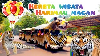 Naik Kereta Api Tut Tut Tut  Lagu Anak Indonesia Populer  Versi Baru [upl. by Doretta]