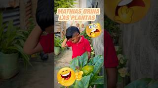 Mathias orina las plantas [upl. by Ynamad]