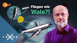 Wie funktioniert Bionik Leschs Kosmos Ganze TVFolge  Harald Lesch [upl. by Reisch]