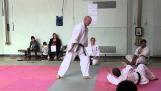 Aikido  Aigamae Atemp4 [upl. by Leontyne755]