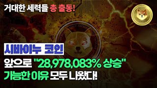 시바이누 코인 최대 전망까지 2800만 상승할 수 있다고 고래들과 자산운용사 미국 정부까지 매수 한 이유 [upl. by Wiburg482]