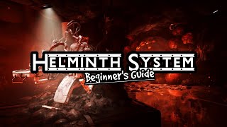 Helminth System Beginners Guide  Warframe Helminth Guide [upl. by Radnaskela304]