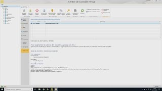 HFSQL  optimisation des requêtes [upl. by Rayna]