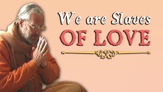 We are Slaves of Love  Swami BG Narasingha Maharaja [upl. by Manya]