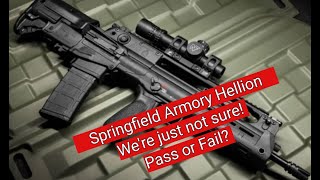 The Springfield Armory Hellion  Should You Buy One [upl. by Pat918]