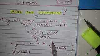 What are polysomes biology  SDVERMA [upl. by Tersina]