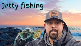 lingcod jetty fishing Newport oregon [upl. by Lombardo]