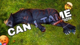 CAN I TAME A SOBERTOOTH IN ARK SURVIVAL EVOLVED  PART  6 [upl. by Fablan]