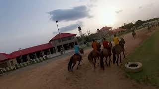 Evening Canters at Guards Polo Resort Abuja [upl. by Deborath]