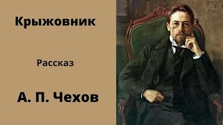 Рассказ Крыжовник Чехов Аудиокниги Слушать русскую литературу [upl. by Franz]