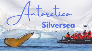 Luxury Antarctica Cruise by Silversea Expedition Guides [upl. by Anikahs924]