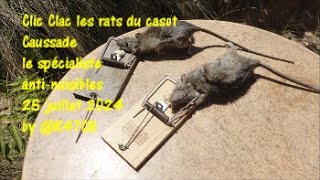 Clic clac les rats du casot Caussade le spécialiste antinuisibles 25 juillet 2024 by K47CB [upl. by Ingraham118]