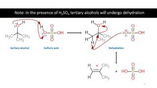 CHE 242 L  Fischer Esterification [upl. by Erline524]