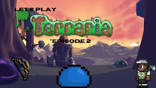 Exploring Our New World  Calamity Terraria Ranger Lets Play [upl. by Hourigan926]