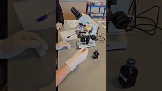 Testing bulk bacteri through microscope canada canadavlog students universitiescanada vlog [upl. by Mikkel]