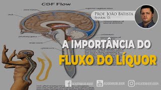 A importância do Fluxo do Líquor [upl. by Aihtnis]