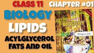 Lipids Acylglycerol Fats and Oil 11th biology Chapter 01Biological molecules Sindh board [upl. by Yorgerg]