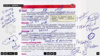 bacterial plasmid mesosomes spores granules 1sy year Biology [upl. by Kyred291]