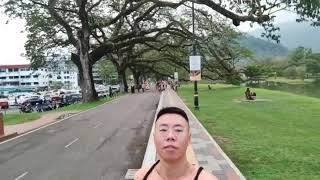 Raintree Walk Taiping Perak Malaysia [upl. by Lonnie]