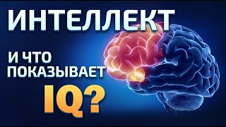 Почему тест на IQ запрещен в Америке [upl. by Haida]