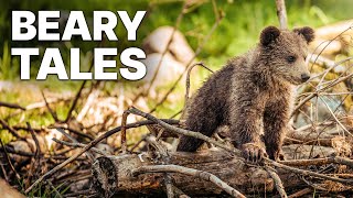 Beary Tales  Two Orphaned Bear Cubs [upl. by Hgieloj]