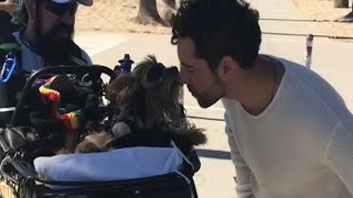 David Bisbal conoce en L A a su fan más cariñoso [upl. by Sailesh]