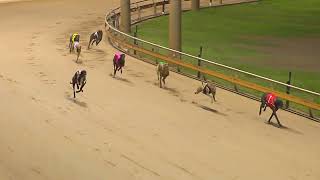 Rockhampton06112024Race11 [upl. by Ecargyram]