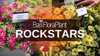 You need these 5 plants in your grower program  BFP Rockstars [upl. by Eerot]