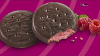 New Girl Scout cookie Raspberry Rally inspired by Thin Mints [upl. by Annel911]