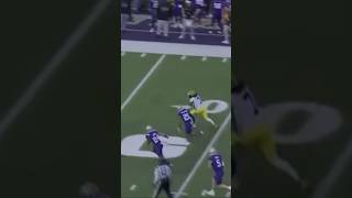 Donovan Edwards TD vs Washington  2024 [upl. by Mun]