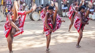 Swazi Cultural Dance Eswatini [upl. by Denny591]