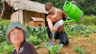 35 days to harvest gourds cucumbers eggplants and purple radishes l Lý Thị Sai FULL VIDEO [upl. by Aholla]