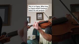 This is called Le Cygne by SaintSaens What does Le Cygne mean Comment below [upl. by Artimed]