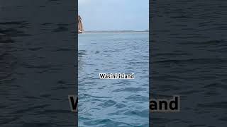 📍Wasini island tembeakenya kenya travelvlog travel dolphin dolphins [upl. by Noiek]